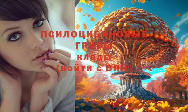 шишки Кострома