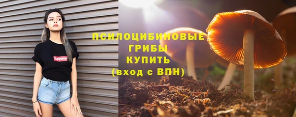 крисы Магас
