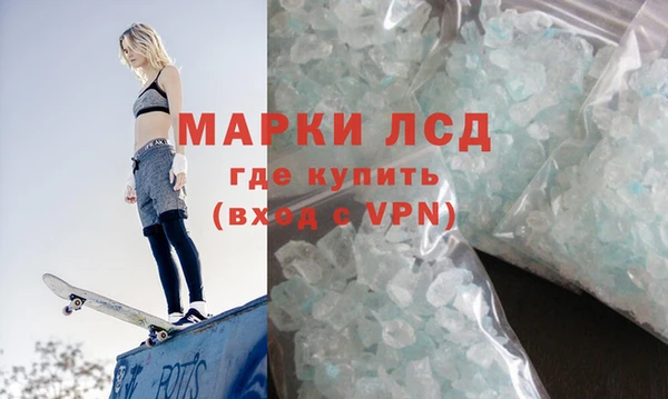 крисы Магас