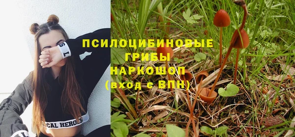 шишки Кострома