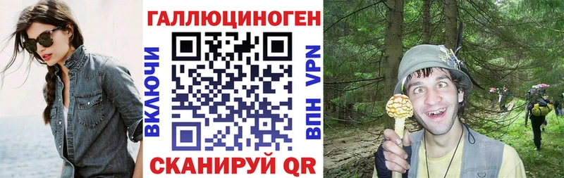 Псилоцибиновые грибы Psilocybe  Купить  Лесосибирск 